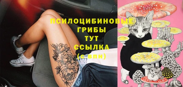 apvp Аркадак