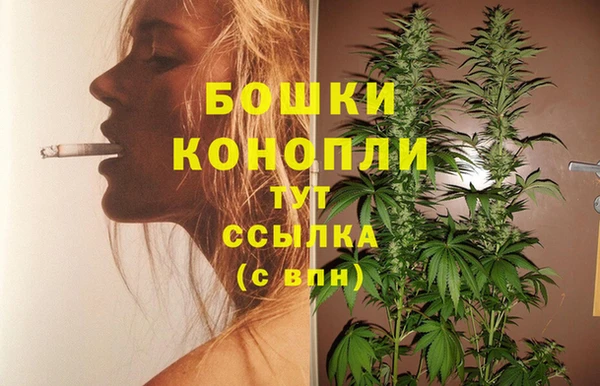 apvp Аркадак