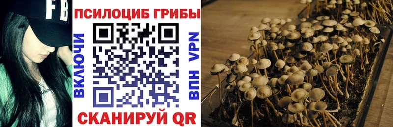 Купить где  Анжеро-Судженск  Галлюциногенные грибы MAGIC MUSHROOMS 