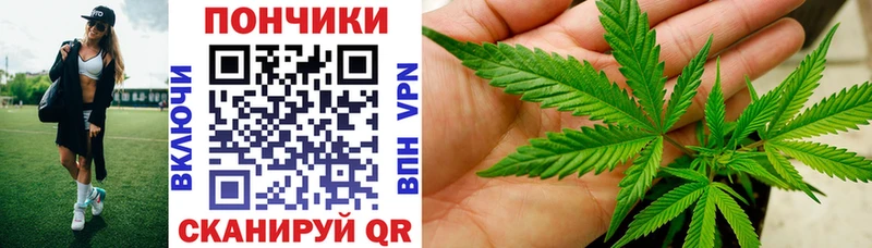 Шишки марихуана семена  Купить  Анжеро-Судженск 